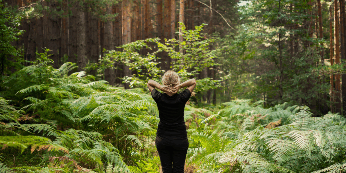 Forest bathing