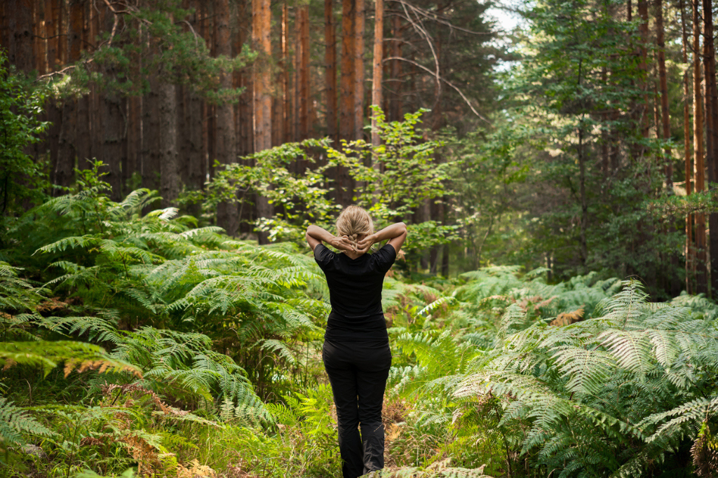 Forest bathing