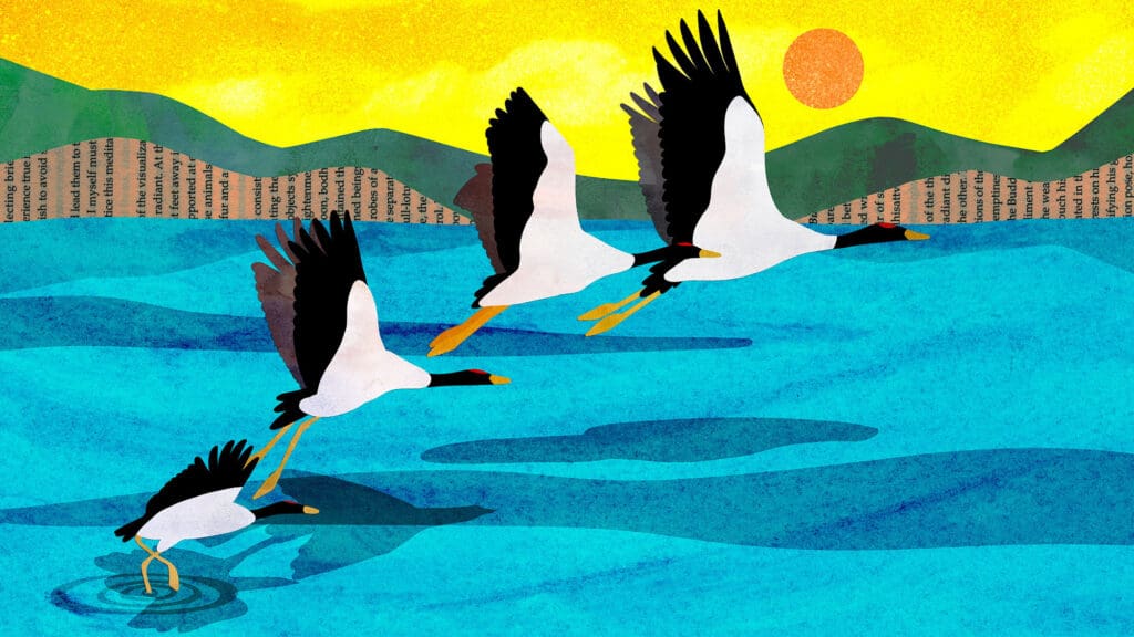 Iillustration by Sirin Thada of cranes taking flight - a metaphor used by the author to help answer the question: what is mind?